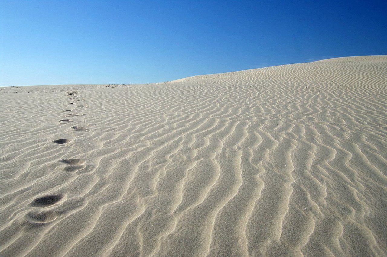 Wüstensand Wüstensand