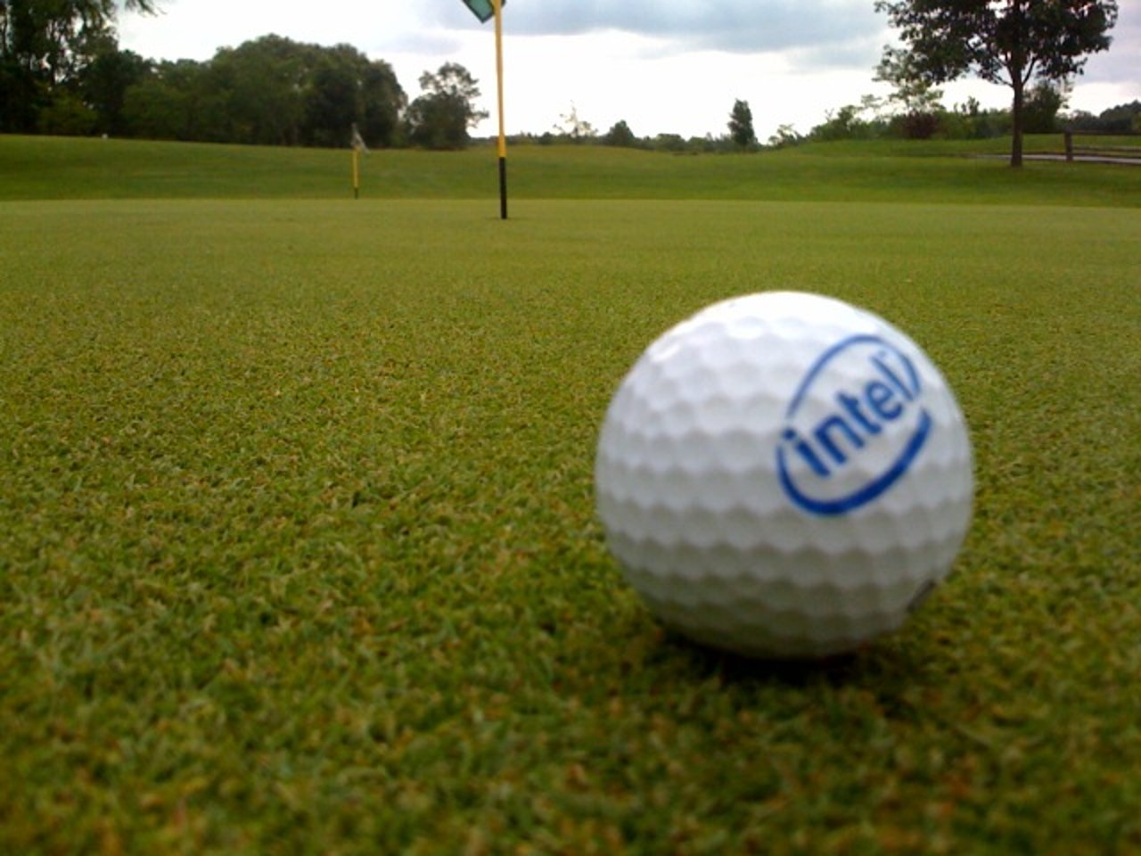 Golfball auf dem Putting-Green Golfball auf dem Putting-Green
