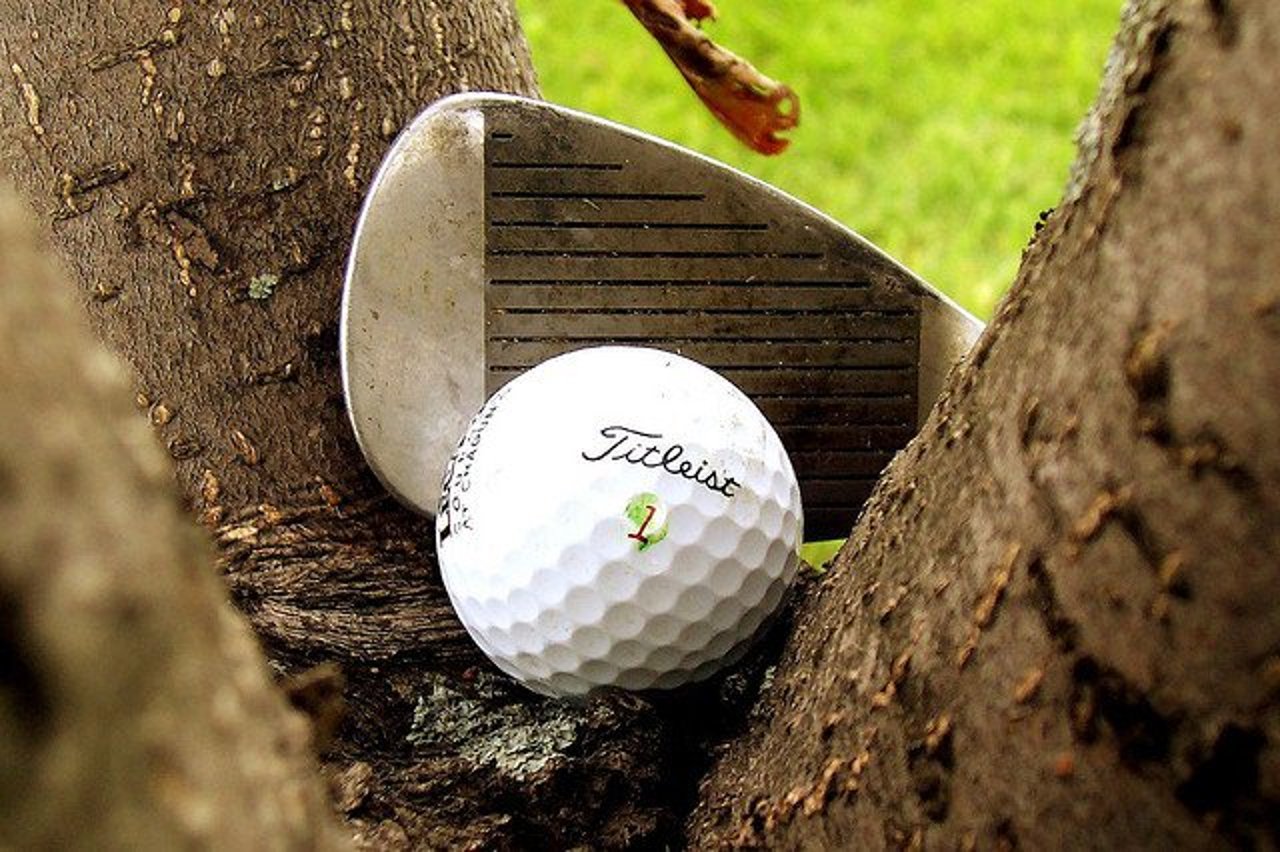 Troubleshot: Ball im Baum Troubleshot: Ball im Baum