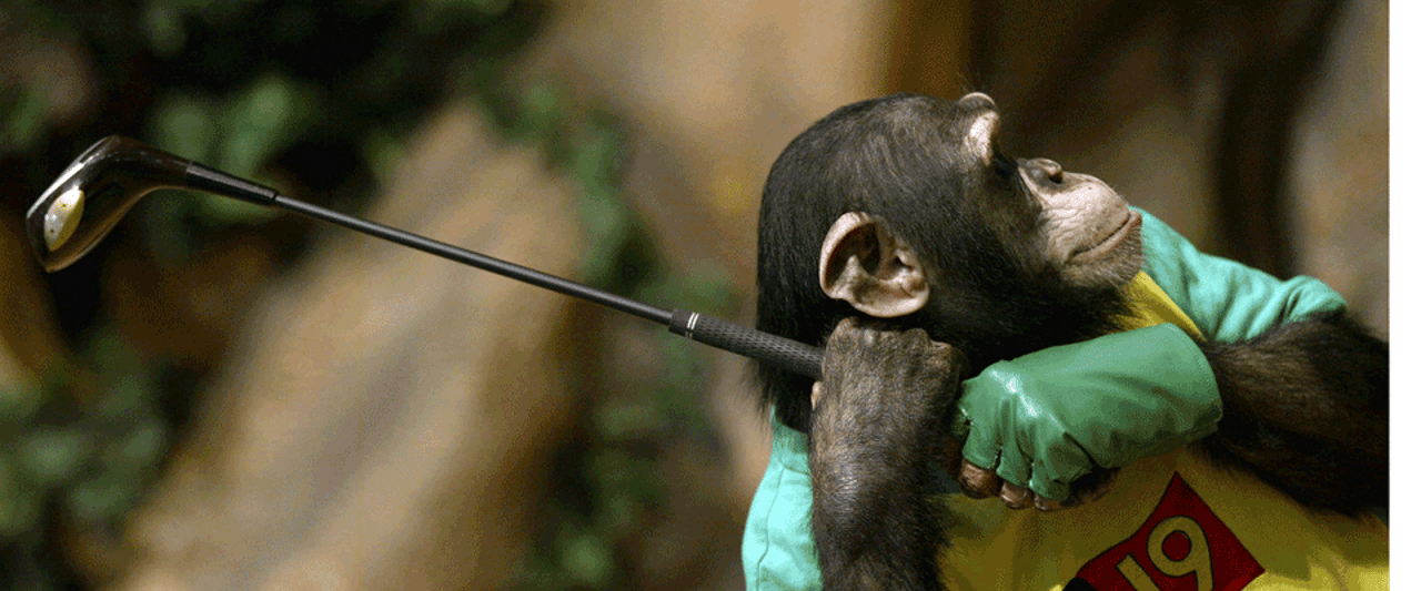 Golf Trick Shot Golf Trick Shot