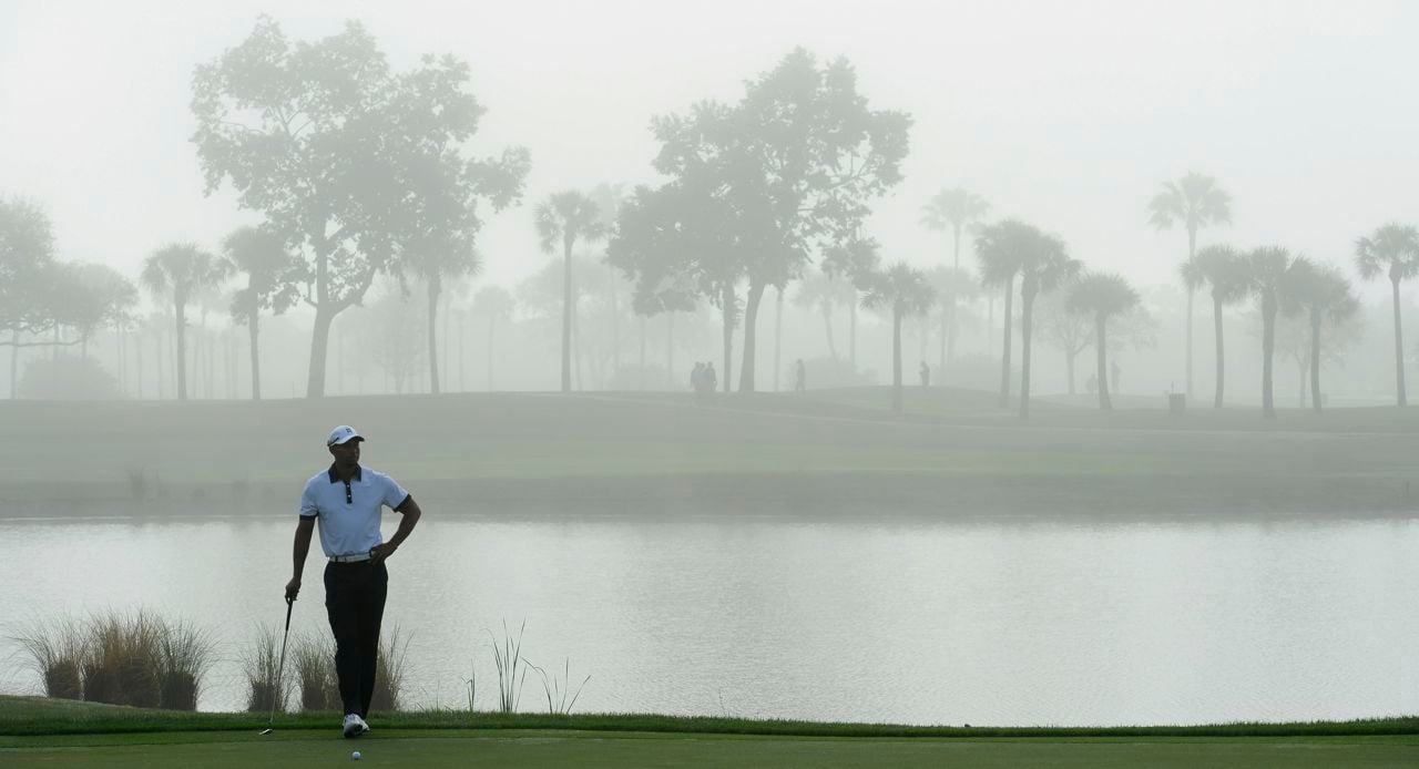 Tiger Woods Tiger Woods