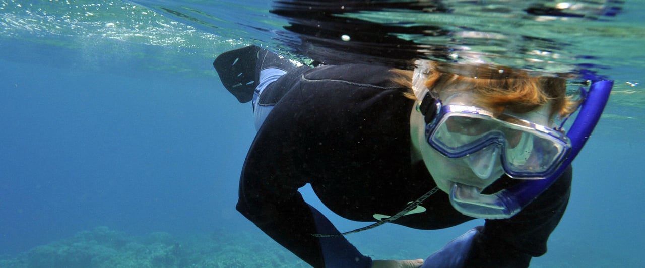 Golfballtaucher sorgen nicht nur dafür, dass die Bälle wieder an die Oberfläche kommen, sie halten mit ihrer Arbeit auch das Ökosystem im Gleichgewicht. Golfballtaucher sorgen nicht nur dafür, dass die Bälle wieder an die Oberfläche kommen, sie halten mit ihrer Arbeit auch das Ökosystem im Gleichgewicht.