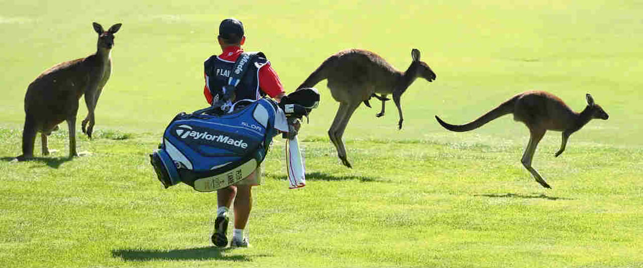 Känguru-Alarm. Diese Woche verschlägt es European Tour und LPGA nach Australien. Die Wochenvorschau. (Foto: Getty) Känguru-Alarm. Diese Woche verschlägt es European Tour und LPGA nach Australien. Die Wochenvorschau. (Foto: Getty)