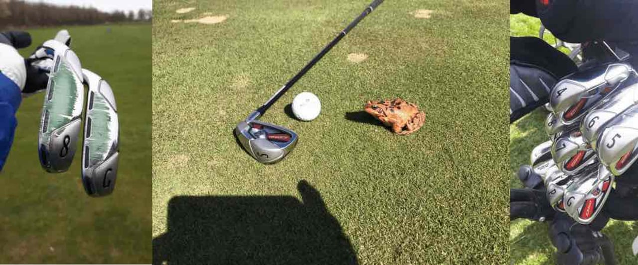 Die drei Golf Post Produkttester haben die Wilson Staff D300 Eisen über mehr als vier Wochen lang auf Herz und Nieren getestet. (Foto: Golf Post)