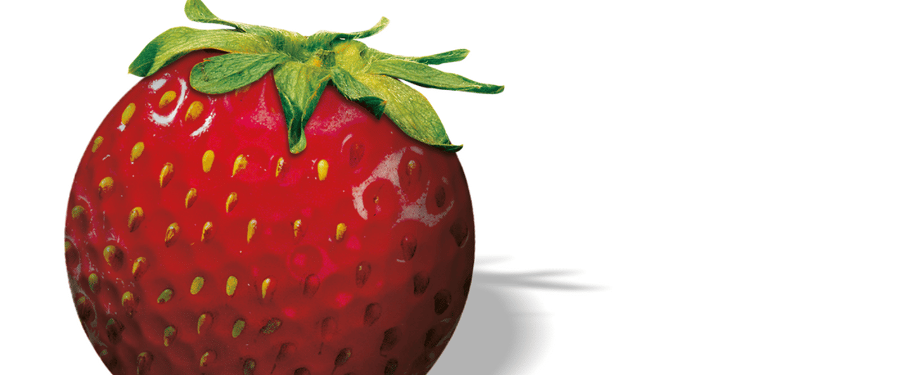 Strawberry Tour: Eine der größten Amateur-Golf-Serien Europas. (Foto: Strawberry Tour) Strawberry Tour: Eine der größten Amateur-Golf-Serien Europas. (Foto: Strawberry Tour)