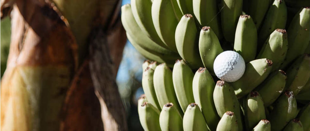 Vice Golf bietet den DGL-Teams ein exklusives Sparangebot für ihren Vice Golf Pro Ball an. (Foto: Twitter @VICE_GOLF) Vice Golf bietet den DGL-Teams ein exklusives Sparangebot für ihren Vice Golf Pro Ball an. (Foto: Twitter @VICE_GOLF)