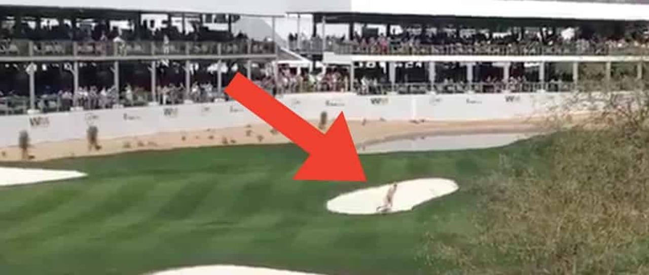 Bei der Waste Management Phoenix Open kommt es aufgrund eines Flitzers zu einem mittelschweren Skandal. (Foto: twitter.com) Bei der Waste Management Phoenix Open kommt es aufgrund eines Flitzers zu einem mittelschweren Skandal. (Foto: twitter.com)