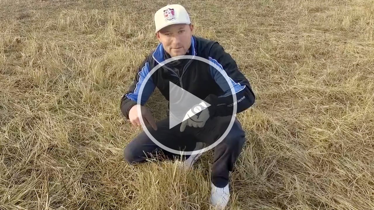 Was tun beim eingebetteten Ball? Silas Wagner klärt Sie nach den neuen Golfregeln 2019 auf. (Foto: YouTube/SilasWagner) Was tun beim eingebetteten Ball? Silas Wagner klärt Sie nach den neuen Golfregeln 2019 auf. (Foto: YouTube/SilasWagner)