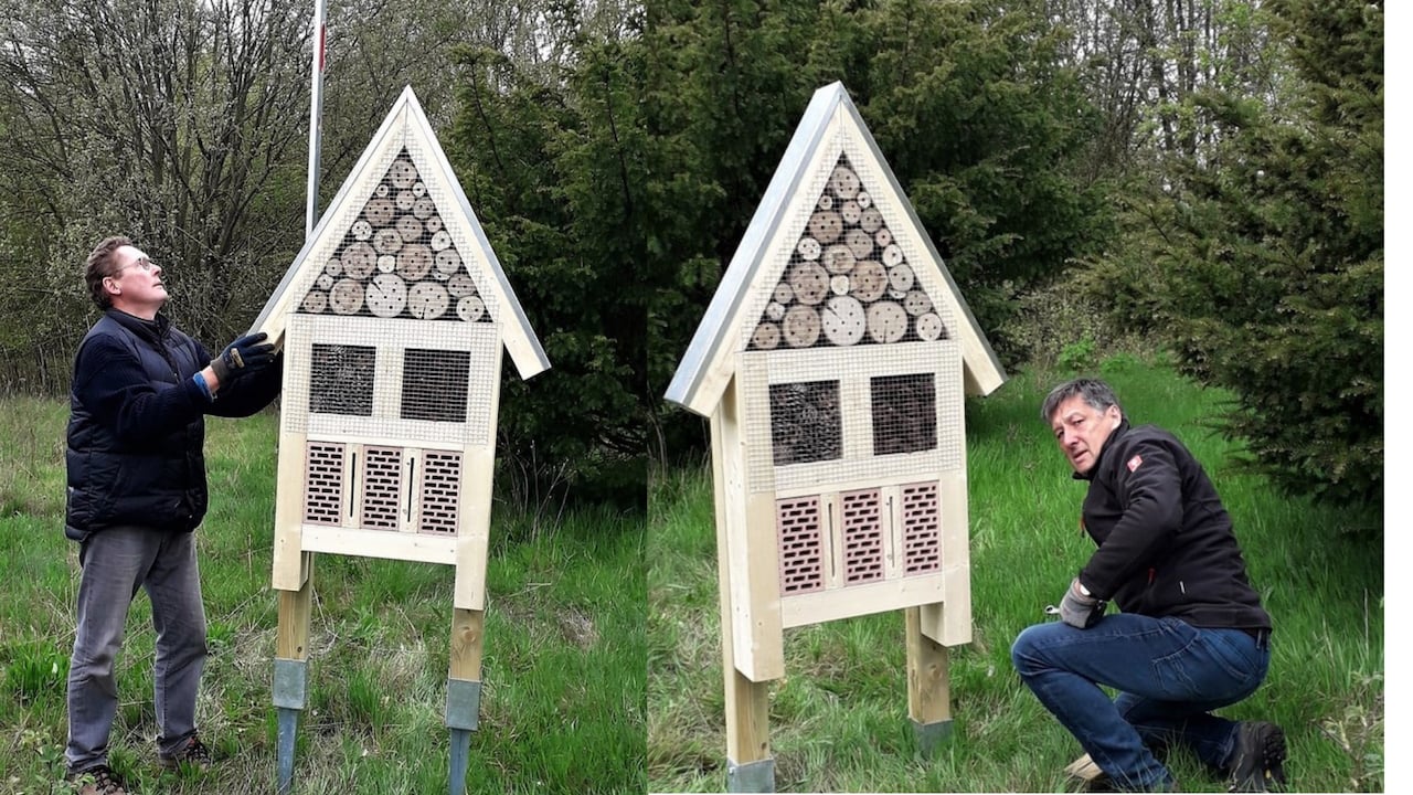 Der GC Varus hat Luxus-Hotels für seine Insekten aufgestellt. (Bild GC Varus) Der GC Varus hat Luxus-Hotels für seine Insekten aufgestellt. (Bild GC Varus)