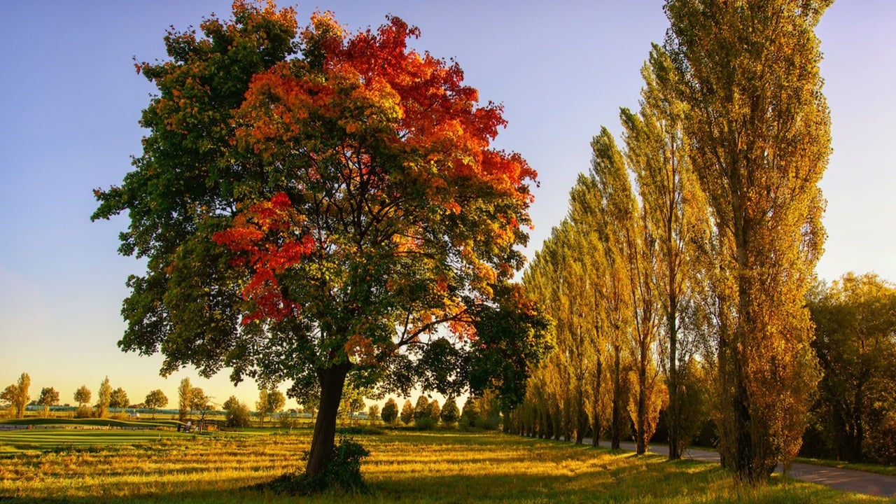 Der Golfkalender 2020 mit dem Golfpark München Aschheim. (Bildquelle: Friedhelm Ölke)