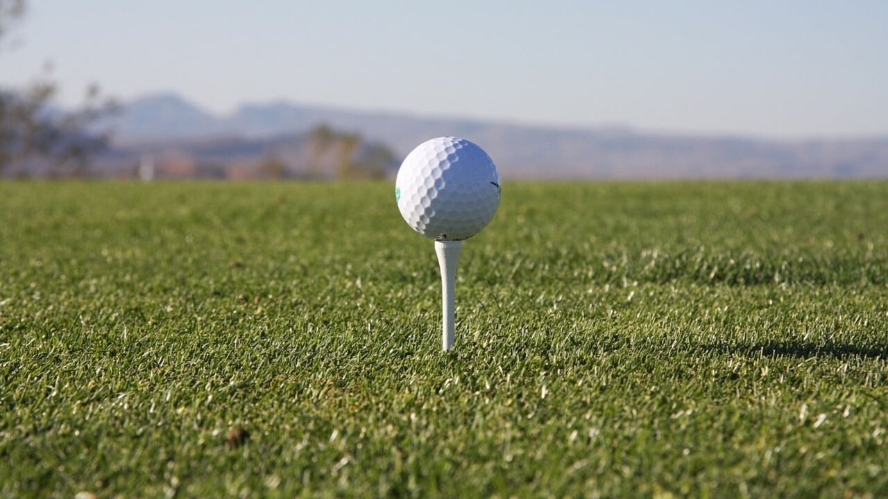 Den Golfball wird Gareth Bale bei der EM 2020 wohl nicht zu Gesicht bekommen. Der Trainer hat der Mannschaft das Golfspiel bei dem Event untersagt. (Foto: TheDalley Lama / pixabay.com) Den Golfball wird Gareth Bale bei der EM 2020 wohl nicht zu Gesicht bekommen. Der Trainer hat der Mannschaft das Golfspiel bei dem Event untersagt. (Foto: TheDalley Lama / pixabay.com)