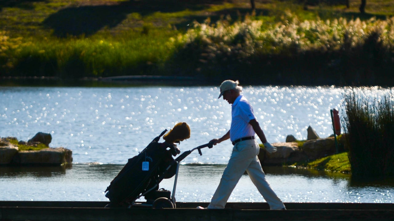 Der Elektro-Trolley macht das Leben leichter Der Elektro-Trolley macht das Leben leichter