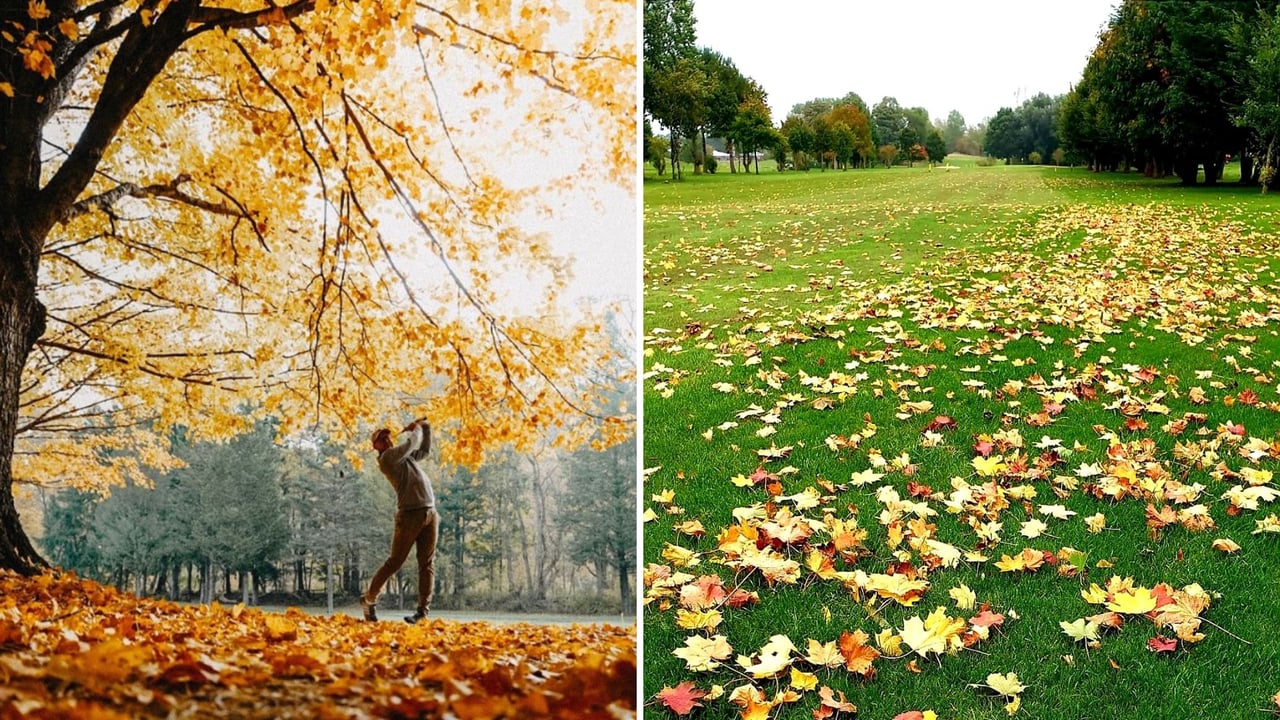Golf im Herbst wird durch Laub auf dem Kurs erschwert. (Fotos: Instagram/@ohiojonny & Twitter/@StuJokerJones) Golf im Herbst wird durch Laub auf dem Kurs erschwert. (Fotos: Instagram/@ohiojonny & Twitter/@StuJokerJones)