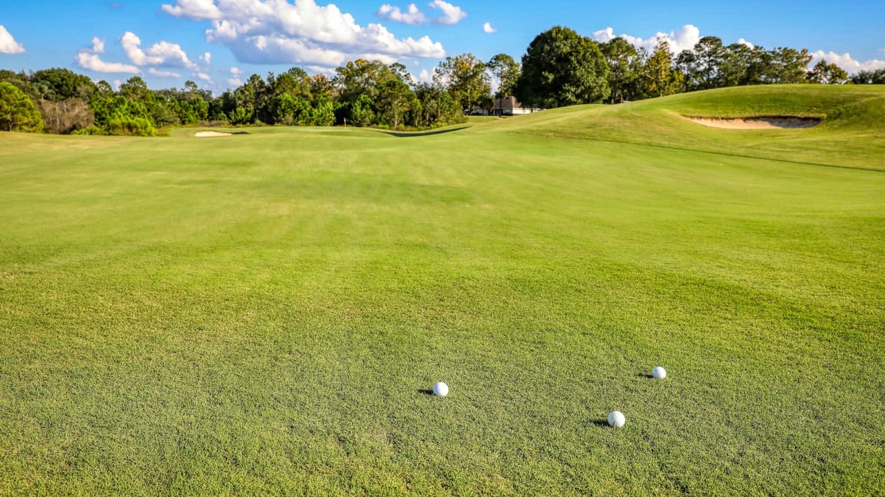 (Foto: Unsplash) (Foto: Unsplash)