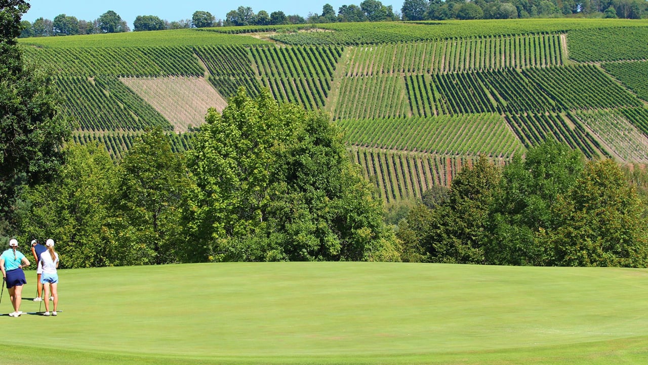 Idylle im GC Trier: Spitzengolf an der Mosel. (Foto: DGV/stebl)