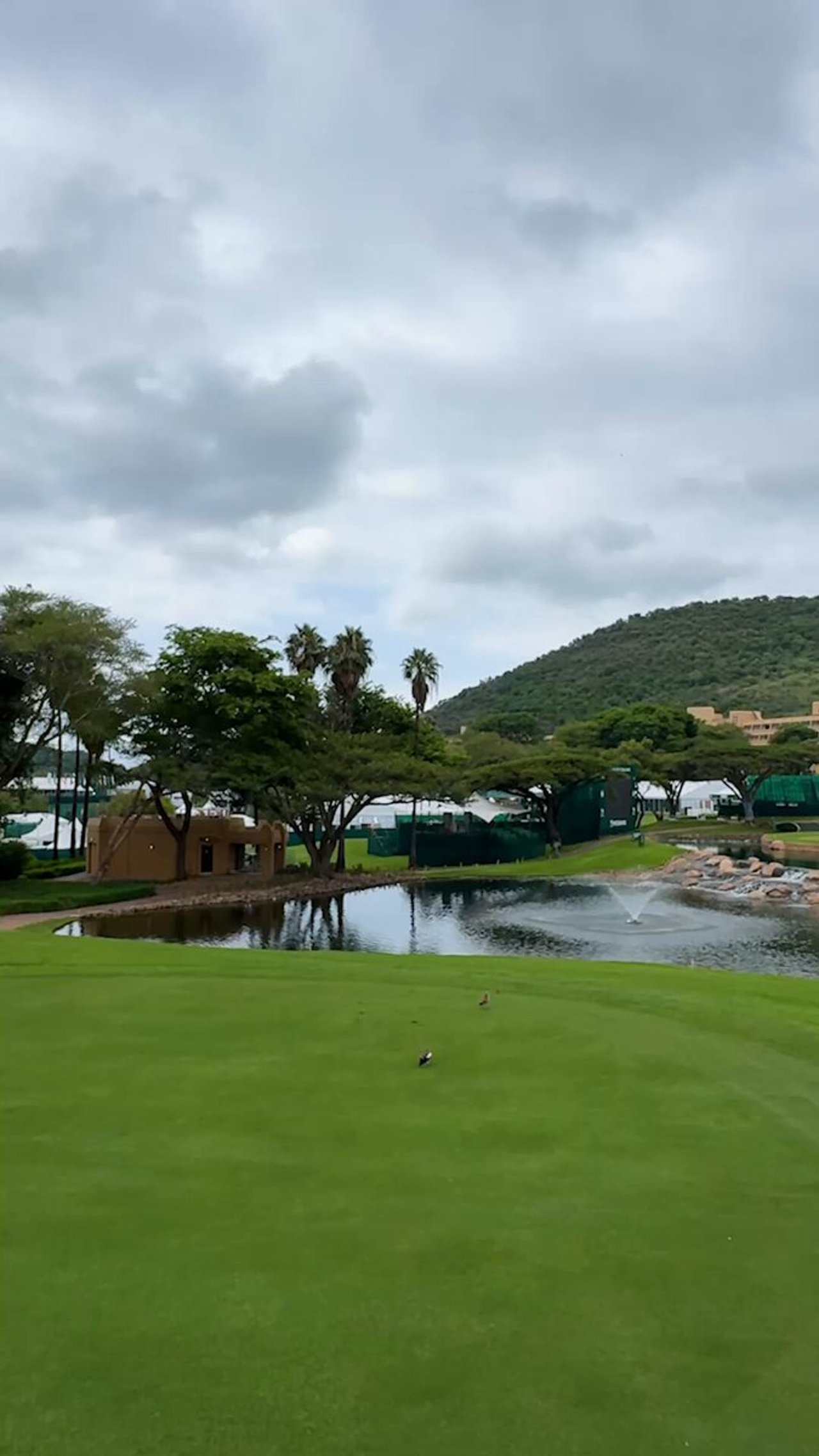 Seltene Eagle-Chance am 9. Loch der DP World Tour Insel - (@DPWorldTour)