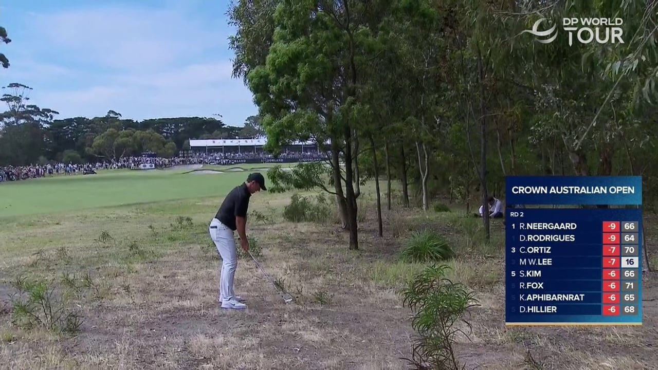 Rory McIlroy beeindruckt mit Eagle bei den Australian Open - (@DPWorldTour)