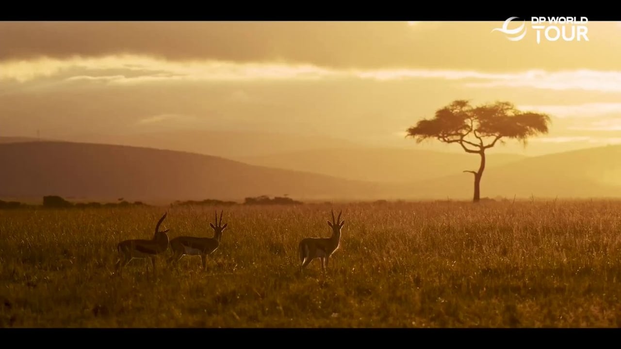 Nedbank Golf Challenge 2025: Spannung im Gary Player Country Club - (@DPWorldTour)