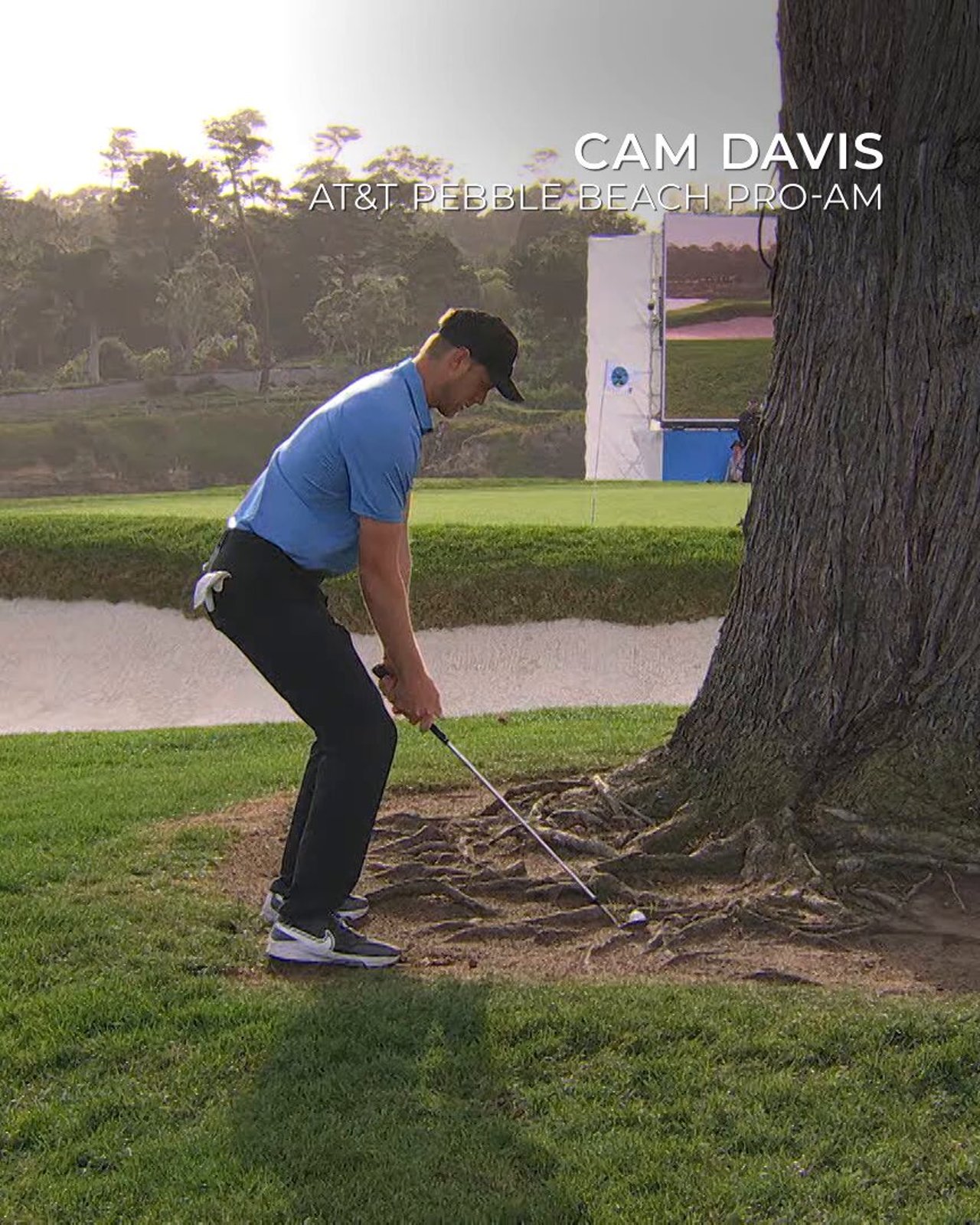 Die spektakulärsten Schläge der PGA Tour 2025 im Video - (@PGATOUR)