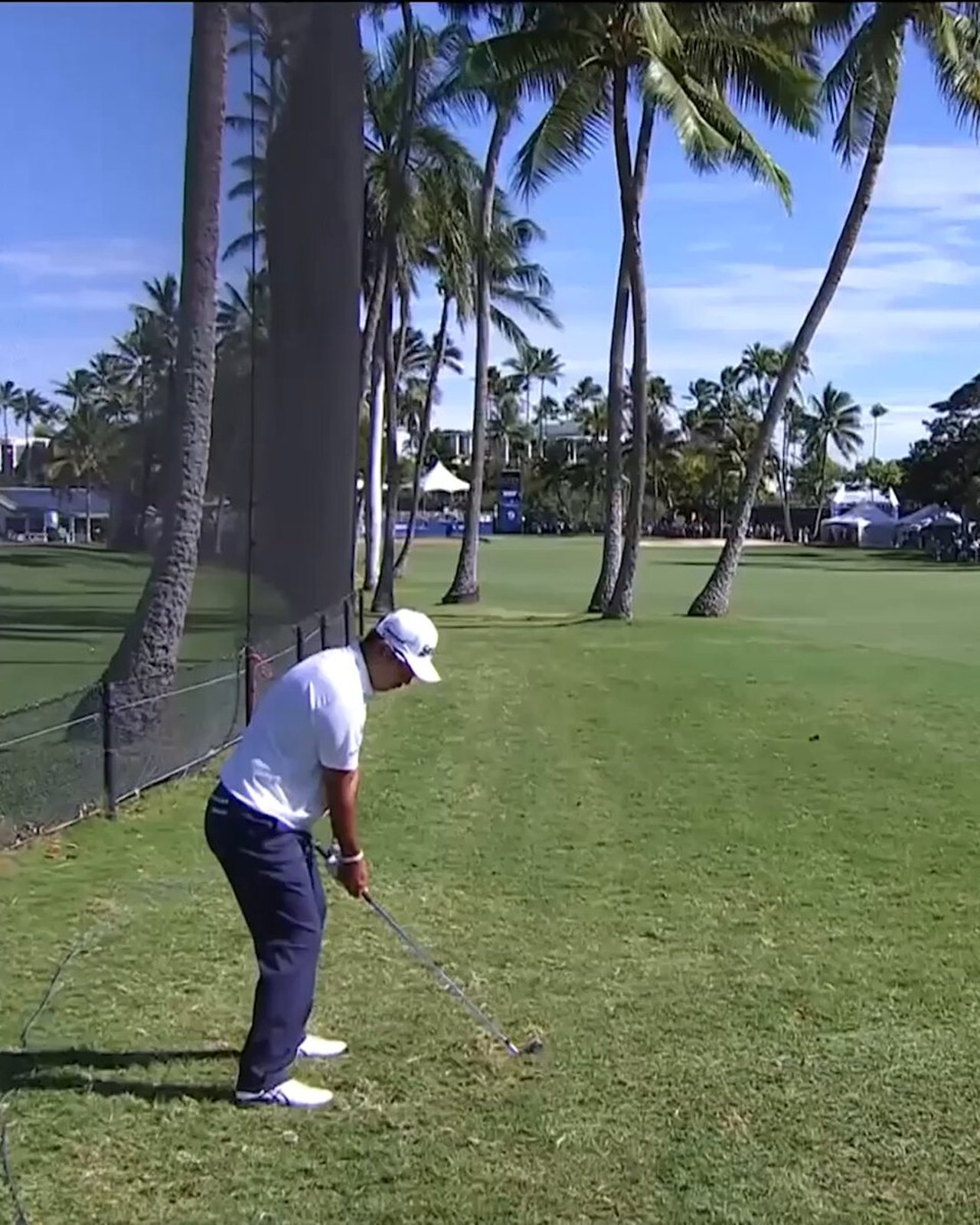 Hideki Matsuyama meistert schwierige Baum-Herausforderung bei PGA Tour - (@PGATOUR)