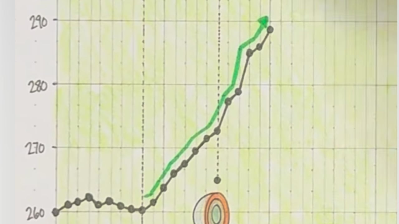 (Foto: Instagram.com@_sportsball)