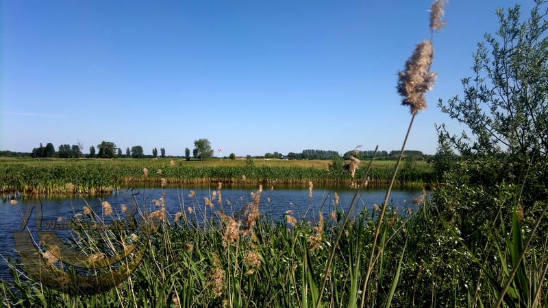 Die idyllische Heimatanlage der Wallgang