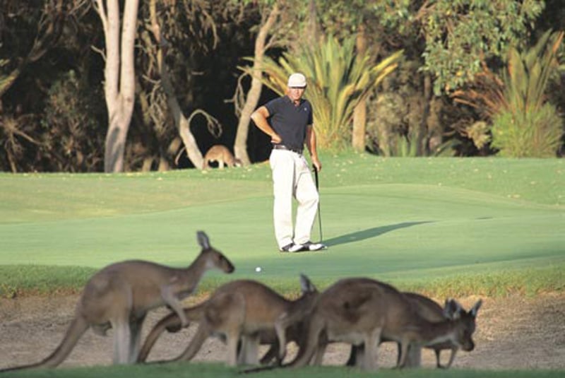 Rémi Gaillard spielt Golf – Bitte nicht nachmachen