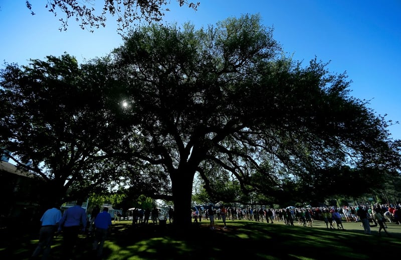 Der Eisenhower Tree – Der berühmte Baum von Augusta