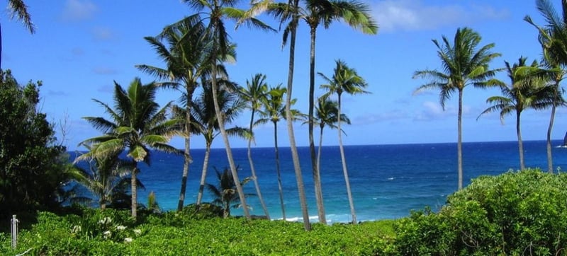 Tournament of Champions: Hawaii weiter vom Winde verweht