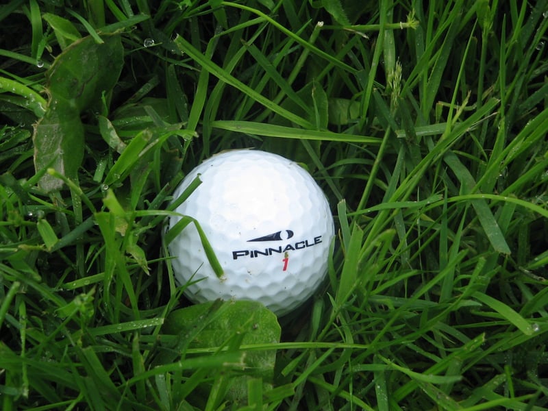 Golfball im Gras