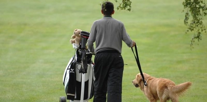 Der HuGo Cup – Golfen mit Hund