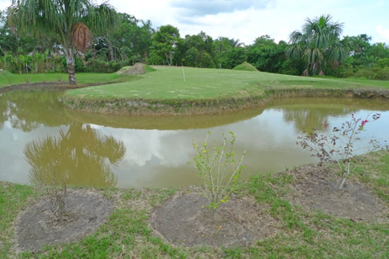 Golfer ertrinkt beim Ball suchen im Wasserhindernis