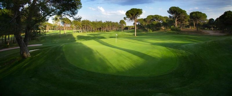 Montgomerie Maxx Royal