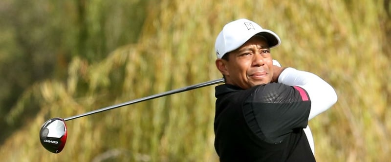 Tiger Woods bei der Northwestern Mutual World Challenge 2013.