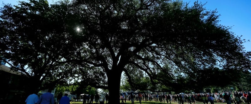 Der berühmte Eisenhower Tree wurde am Wochenende schwer beschädigt. (Foto: Getty)