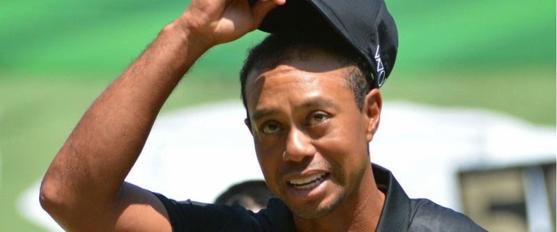 Phänomen Tiger Woods: „Nett ist auch der Hund vom Metzger“