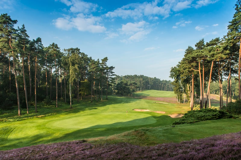 Die Golfregion Hamburg - Eine der attraktivsten Golfdestinationen Europas (Foto: Golfregio Hamburg)