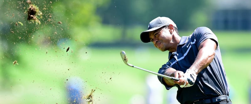 Der Tiger beißt wieder: Tiger Woods liegt in geteilter Führung und will sich durch einen Sieg für die FedExCup-Playoffs qualifizieren. (Foto: Getty)