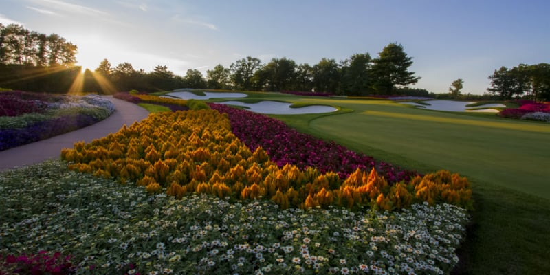 Sonnenuntergang im Sommer am Flower Hole. (Foto: SentryWorld)