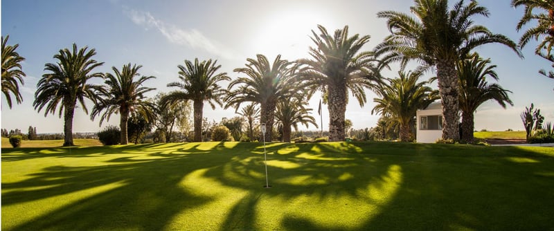 Golf in Tunesien lockt mit interessanten Plätzen, niedrigen Preisen und wider vorherrschender Vorstellungen auch mit einem durchweg positiv vermittelten Sicherheitsgefühl Touristen an.
