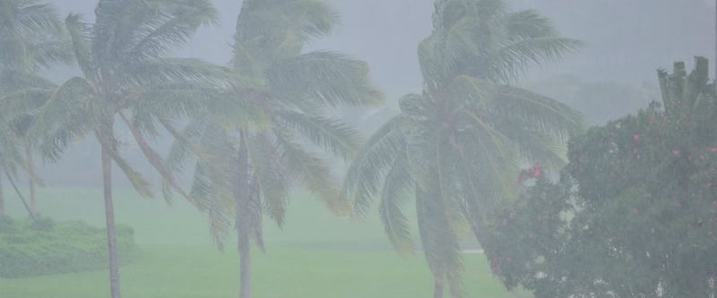 Regen und Wind machen es den Golfern bei der Hainan Open nicht leicht. (Foto: Getty)