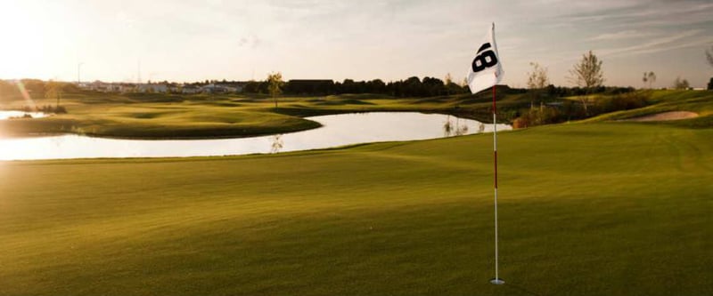 Das Final Four der Deutschen Golf Liga findet 2017 im Kölner Golfclub statt. (Foto: Kölner Golfclub)