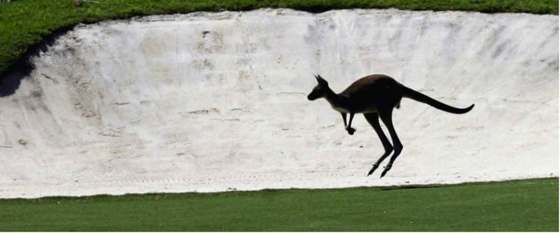 Im Lake Karrinyup Country Club wird es beim Finale des World Super 6 Perth nochmal besonders spannend, denn Matchplay ist angesagt. (Foto: Getty)