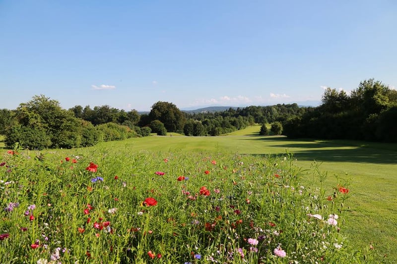 Golfanlage Gut Rieden: Hier lässt sich das Golf spielen genießen (Foto: Facebook.com/Golfanlage Gut Rieden)