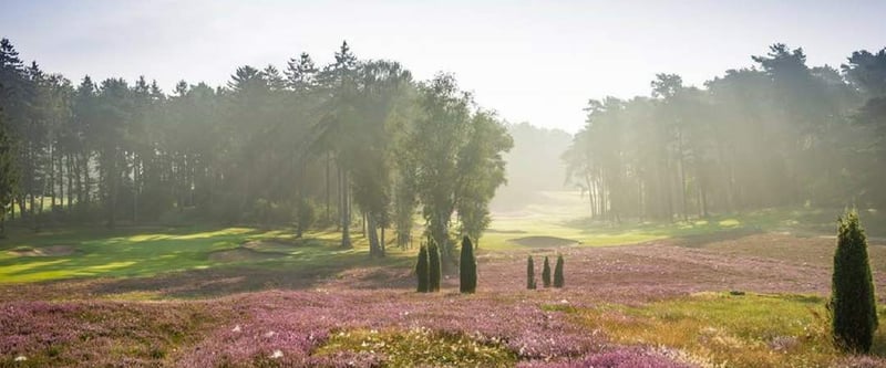 Final Four: Auf diesen Golfplätzen sind die Finalteilnehmer zu Hause