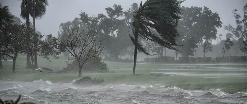 Back Nine Golfstars fliehen vor Hurrikan Irma