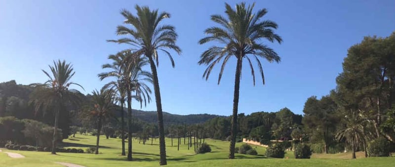 Mallorca im Winter – Fünf Golfplätze für jeden Geschmack
