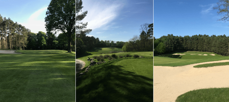 Der Arnold Palmer Course in Bad Saarow überzeugte uns in allen Belangen. (Foto: Golf Post)