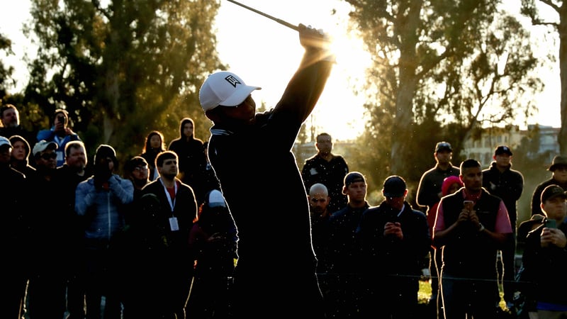 Tiger Woods bringt die Fans auf der PGA Tour zum Jubeln. (Foto: Getty)