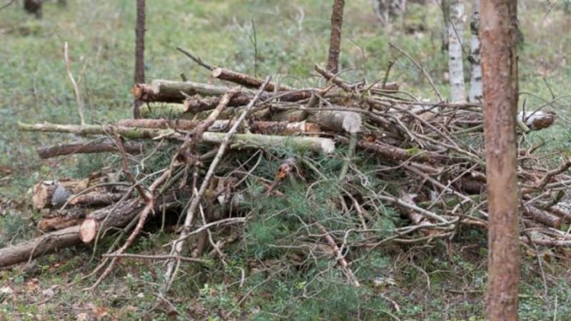 Alljährlich veranstaltet der Burgdorfer GC eine gemeinsame Aufräumaktion, um den Golfplatz und das Drumherum von Altlasten zu befreien. (Bildquelle: Burgdorfer GC)